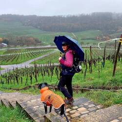 560 Stufen bis zur Kirche in Wintrange!