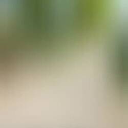 Anfahrt zum gestrigen Stellplatz