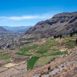 Das Colca-Tal auf dem Rückweg