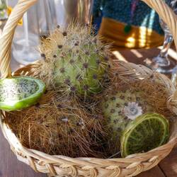 Kiwi in sehr sauer - die Kaktusfrucht Sancayo🌵