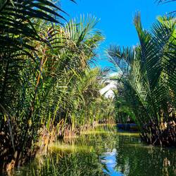 Coconut Village