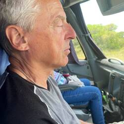 Irgendwie wirkt Busfahren einschläfernd: