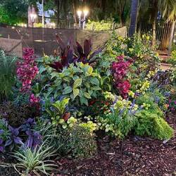 Blühender Vorgarten in Posadas