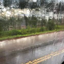 Blick aus dem Busfenster