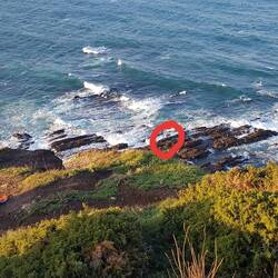 ...und da unten wird "gejagt"