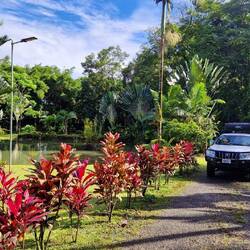 Romantischer Weg durch unseren Campground