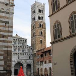Piazza San Martino, Lucca