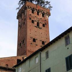 Torre Guinigi, Lucca