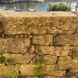 Du weißt nie welcher Samen aufgeht und wächst😊