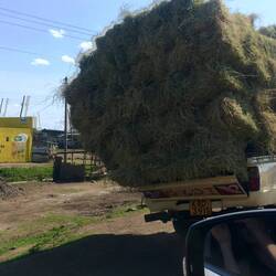 Reisstrohtransport, minimaler Overload