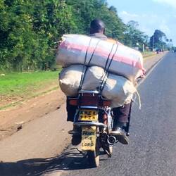 Da kann nurnoch Gott helfen