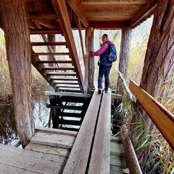 Aussichtsturm mit 2 Ebenen!
