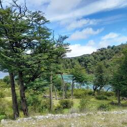 La route vers Paso Meyer est bucolique