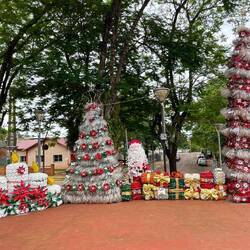 Ich war einmal eine Plastikflasche.....