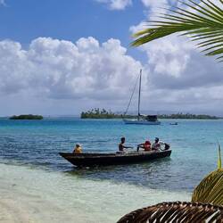 Wolf während den Fischverhandlungen