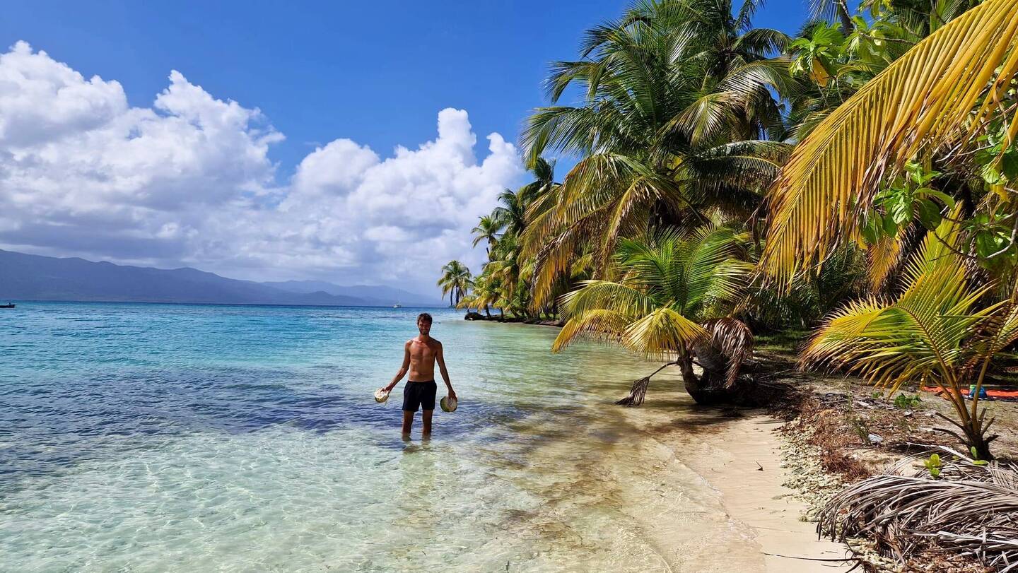 Wolf, der Kokosnussknacker