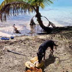 Sailars Lieblingsessen