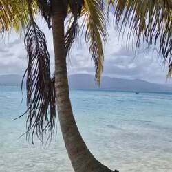 Lärm auf der einsamen Insel