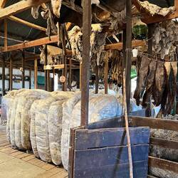 Une collection de laine de mouton, peaux de puma et de Guanaco