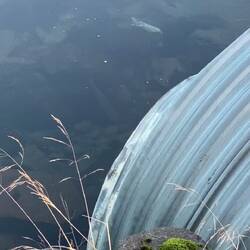 Da ist ein Fisch - hier darf man nicht angeln