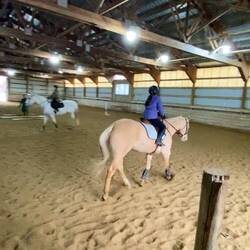 Riding lesson - fun to watch