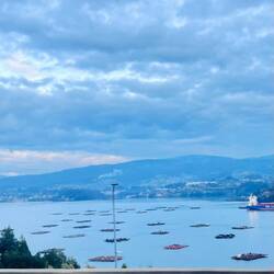 Muschelfarmen Chapela Cabanas