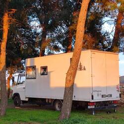 Im Abendlicht unter Bäumen parken