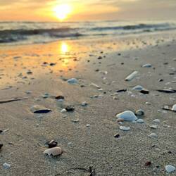 So verabschiedet sich der Strand heute morgen bei uns