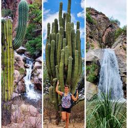 Wanderung am Rio Colorado