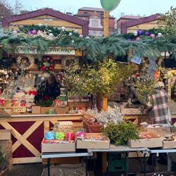 Stalls at Peace Square Christmas Market