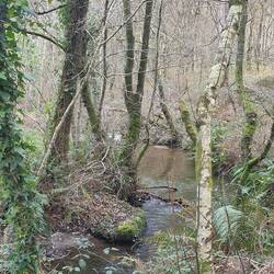 Und zum Schluss noch mal ab durch den Wald