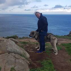 Bewacht von großen Hunden