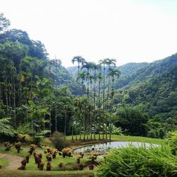 Sehr paradisisch 🌴🪴🍃🌳