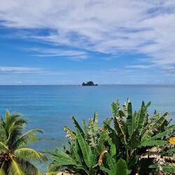 Blick von unserer Terrasse auf Bird Island