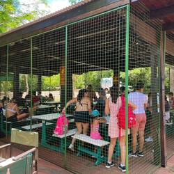 Wer vor den Nasenbären zum Essen seine Ruhe haben möchte, muss in den Käfig!