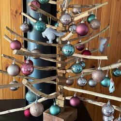 das Beispiel eines Australischen Weihnachtsbaums