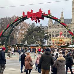 The largest market in Vienna