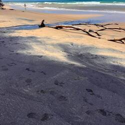 Der schwarze Sand hat auch geglitzert, das kann man auf den Fotos aber leider nicht so gut erkennen✨