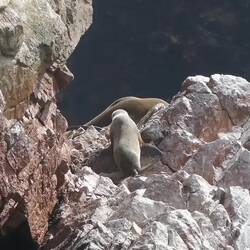 Babyrobbe als Video🥹🥹