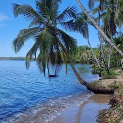 Wanderung vom Playa Estrella nach Drago-Bay