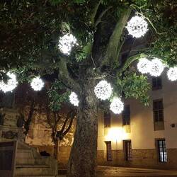 Vorweihnachtliche Zeit