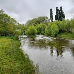 Un petit coin au bord du Rio Bote, passer la nuit près des chevaux qui passent s'abreuver