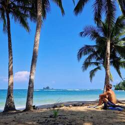 Wolf bereitet sich gedanklich auf eine Partie Cabo vor