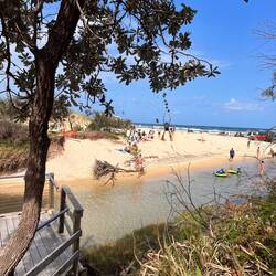 Wenn man genau hinsieht, kann man die beiden 🕷️ erkennen