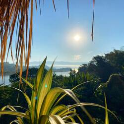 Good Morning Mekong ☀️