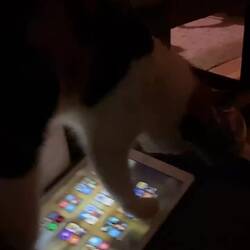 Resident DJ of Chiang Khong