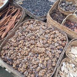 Kopi Luwak