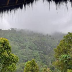 Warten bis sich der Monsunregen etwas legt...