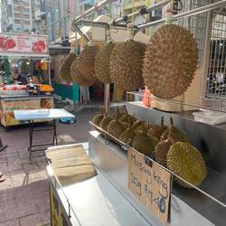 Kotzfrucht Durian