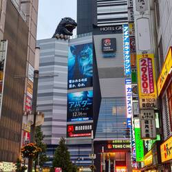 Da schaut wer runter